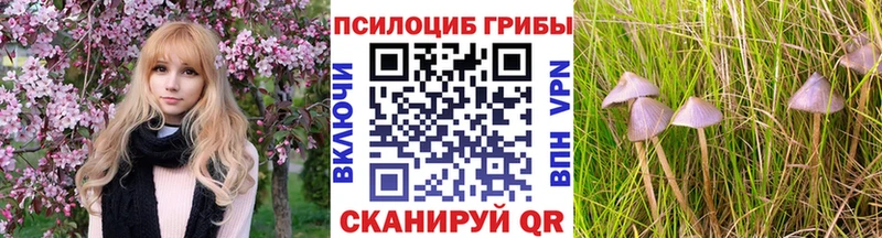 Галлюциногенные грибы Psilocybine cubensis  Мышкин 